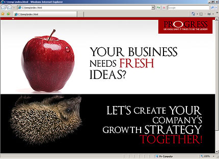 Website Template #30424