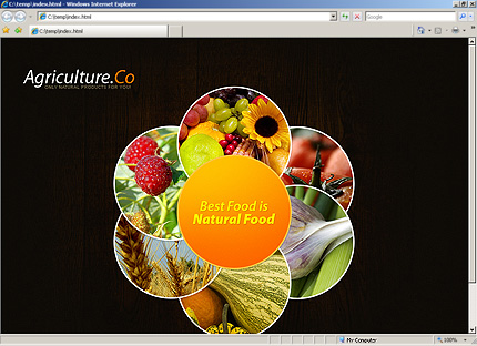 Website Template #30426