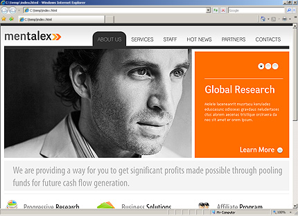 Website Template #30467