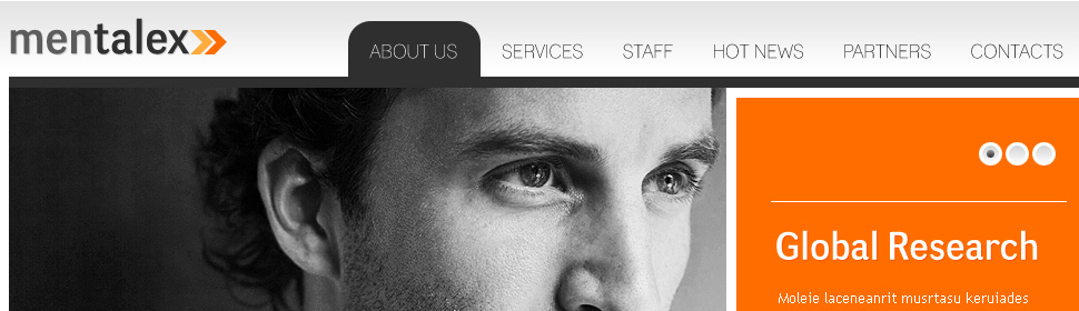 Website Template #30467