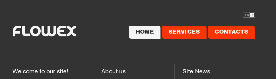 Website Template #30516