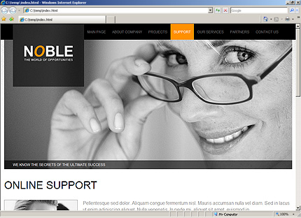Website Template #30670