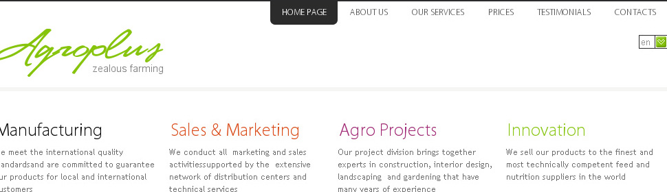 Website Template #30974