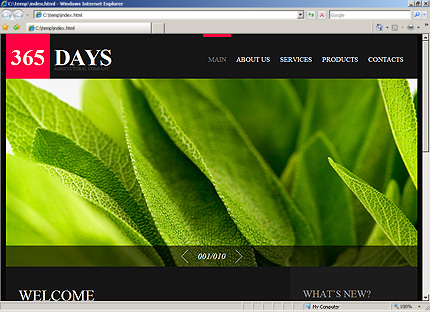 Website Template #31089