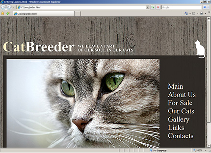 Website Template #31193