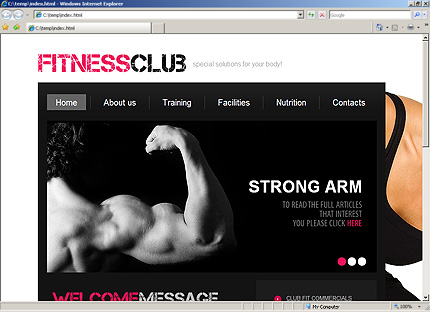 Website Template #31261