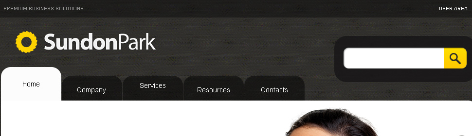 Website Template #31434