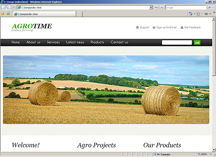 Website Template #31645