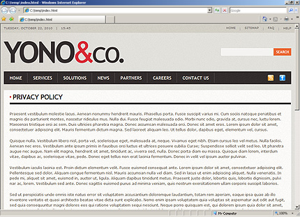 Website Template #31956