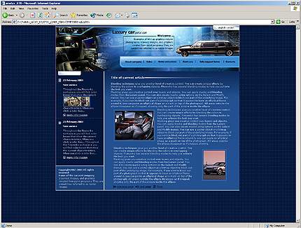 Website Template #3221