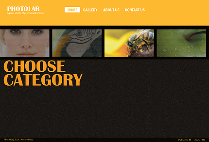 Website Template #32154