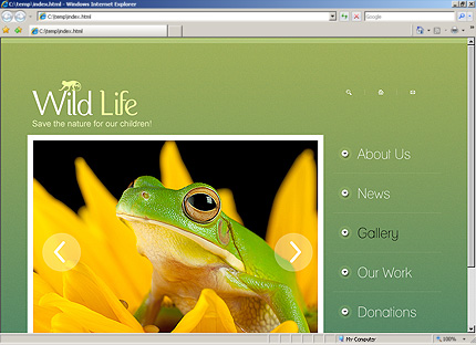 Website Template #32512