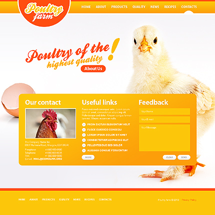 poultry farm management excel template