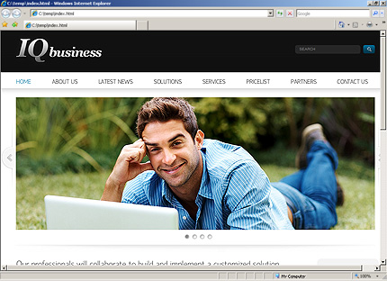 Website Template #33037
