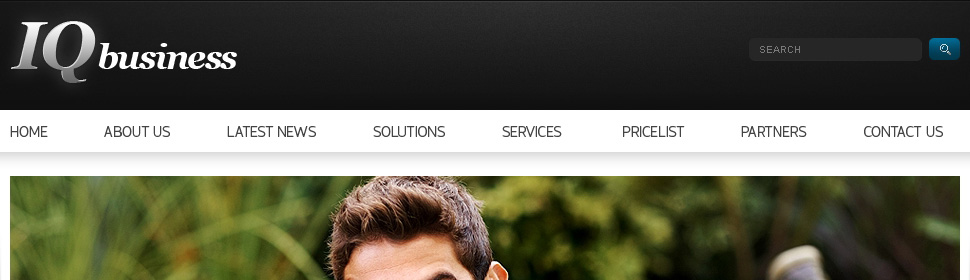 Website Template #33037