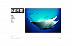 Flash CMS Templates # 33052