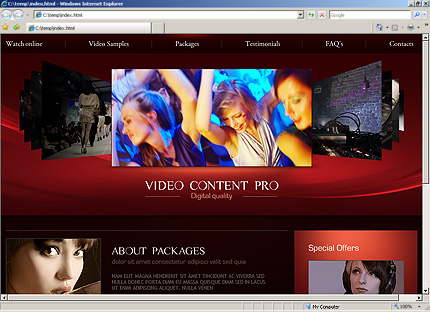 Website Template #33078