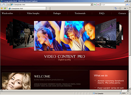 Website Template #33078