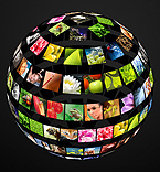 Facebook Flash CMS Theme #33085