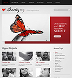 WordPress #33171