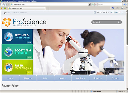 Website Template #33286