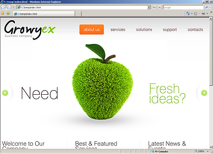 Website Template #33295