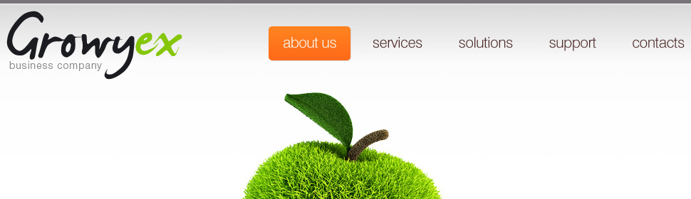 Website Template #33295