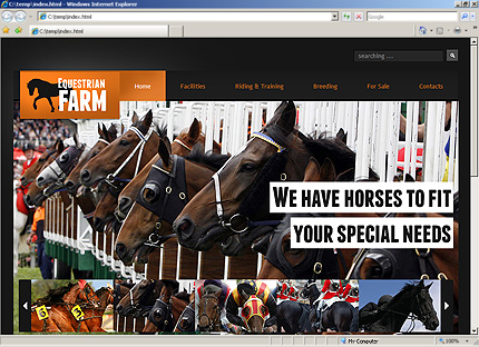 Website Template #33320