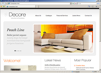 Website Template #33492