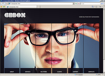 Website Template #33686