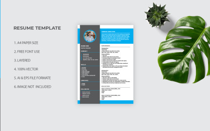 Resume Templates