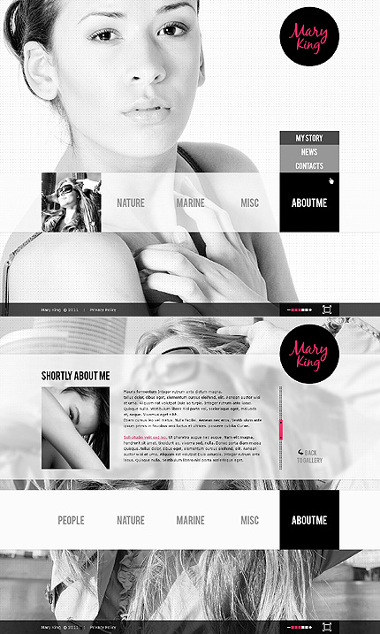 Website Template #33701