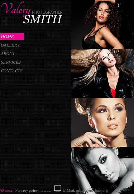Website Template #35628