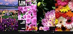 Dynamic Flash Photo Gallery 2.0 35842