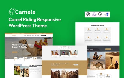 WordPress Themes