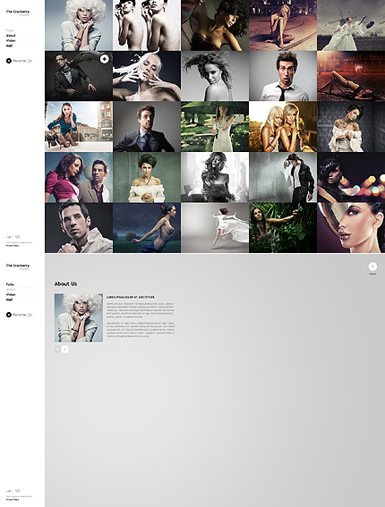 Website Template #36046