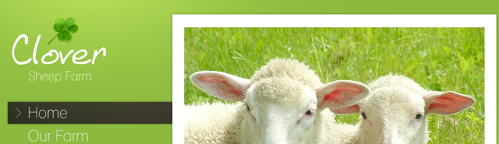 Website Template #36263