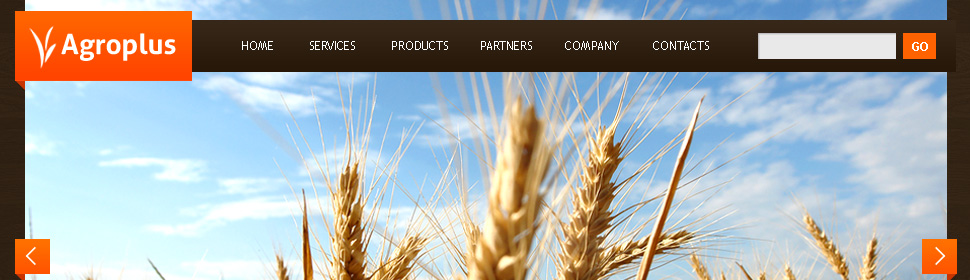Website Template #36391