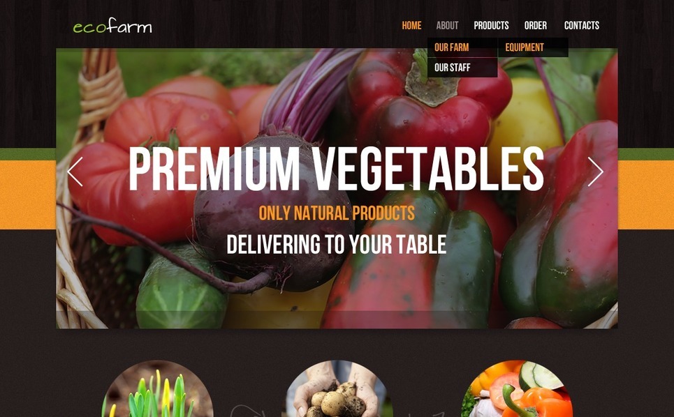 vegetable-website-template-36576