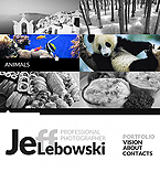 Facebook Flash CMS Theme #36703