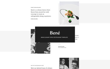 Website Templates