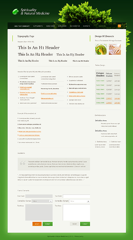Website Template #37053
