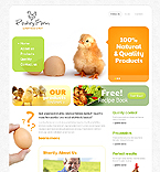 Website Template  #37257