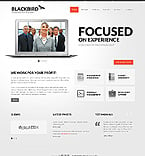 Website Template  #37413