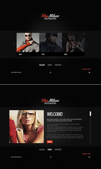 Website Template #37445