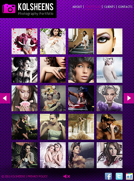 Website Template #38161