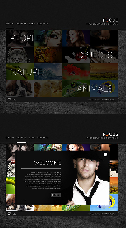 Website Template #38418