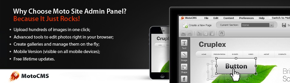 Website Template #38490