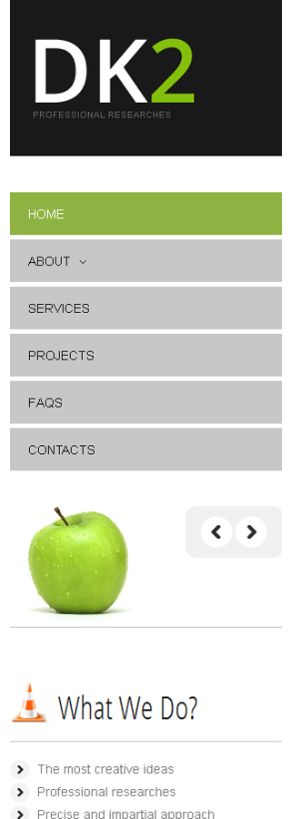 Website Template #38556