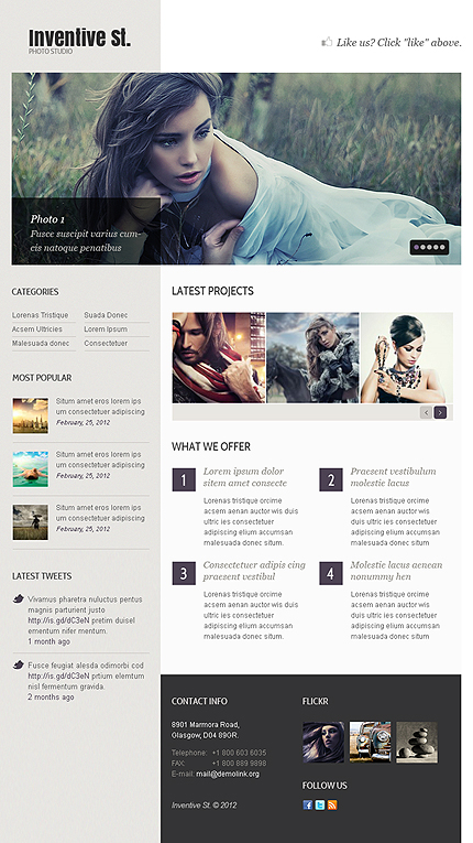 Website Template #38631